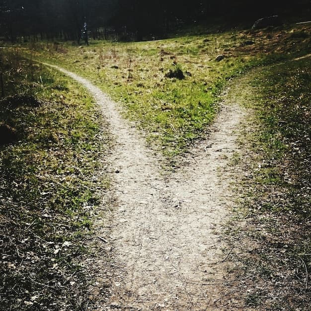 A visual metaphor of a path splitting into multiple directions, representing pivoting.